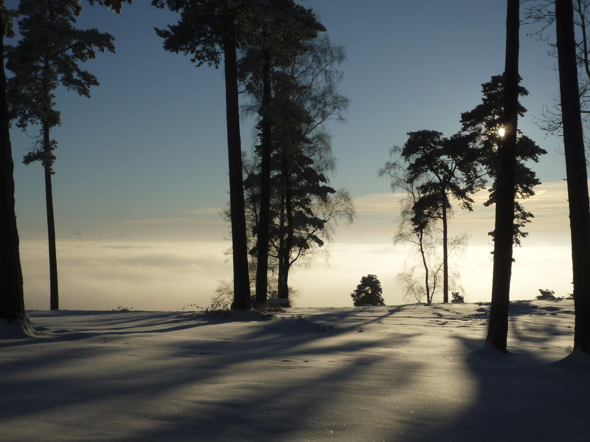 Leith HIll 1 by Steve Breed